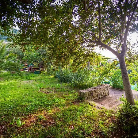 La Tinaia Country House Magomadas Exterior photo