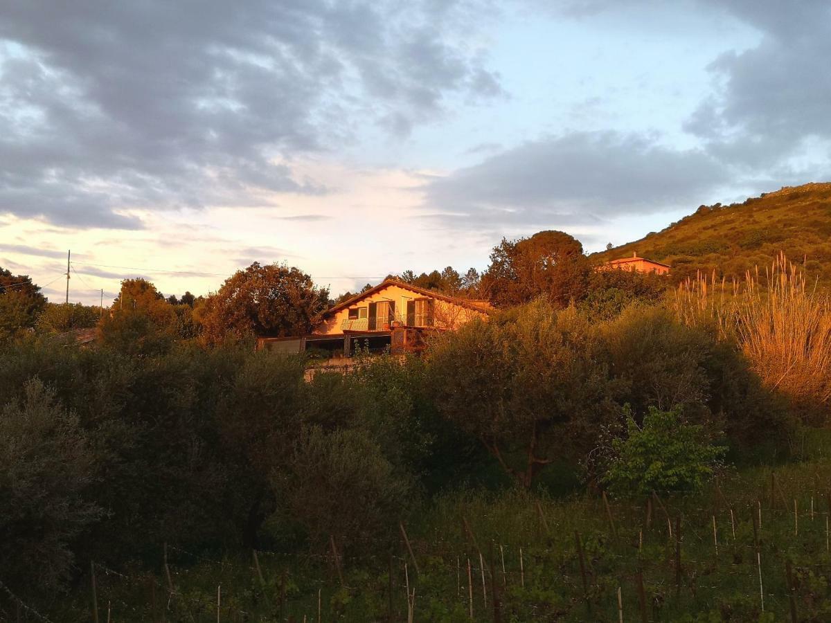 La Tinaia